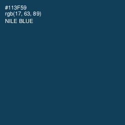 #113F59 - Nile Blue Color Image