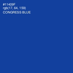#11409F - Congress Blue Color Image