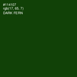 #114107 - Dark Fern Color Image