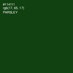 #114111 - Parsley Color Image