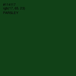 #114117 - Parsley Color Image