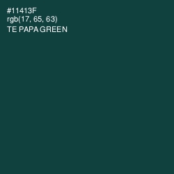 #11413F - Te Papa Green Color Image