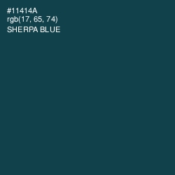 #11414A - Sherpa Blue Color Image