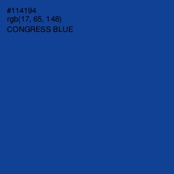 #114194 - Congress Blue Color Image