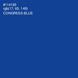 #114195 - Congress Blue Color Image