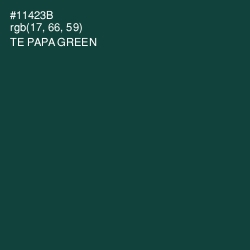 #11423B - Te Papa Green Color Image