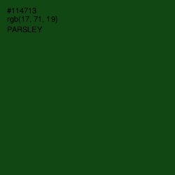 #114713 - Parsley Color Image