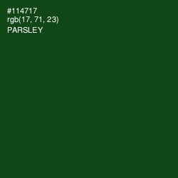 #114717 - Parsley Color Image