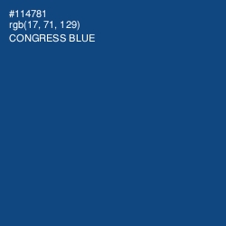 #114781 - Congress Blue Color Image