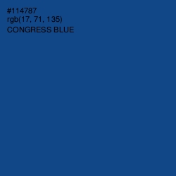 #114787 - Congress Blue Color Image