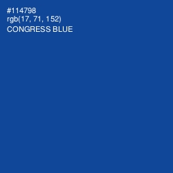 #114798 - Congress Blue Color Image