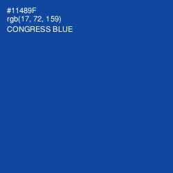 #11489F - Congress Blue Color Image