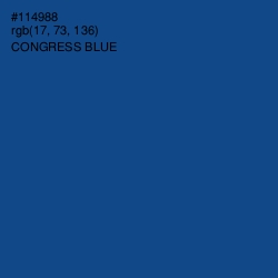 #114988 - Congress Blue Color Image