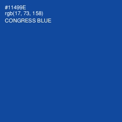 #11499E - Congress Blue Color Image