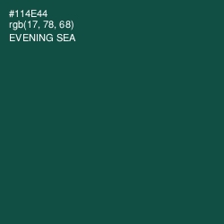 #114E44 - Evening Sea Color Image