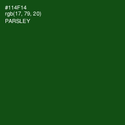 #114F14 - Parsley Color Image