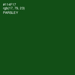 #114F17 - Parsley Color Image