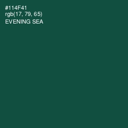 #114F41 - Evening Sea Color Image