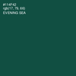 #114F42 - Evening Sea Color Image