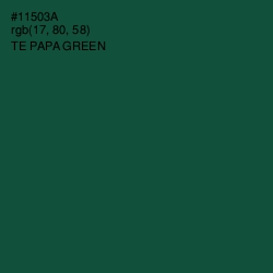 #11503A - Te Papa Green Color Image