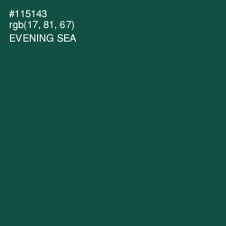 #115143 - Evening Sea Color Image