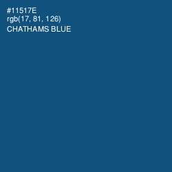 #11517E - Chathams Blue Color Image