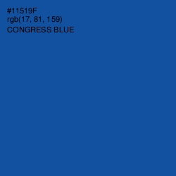 #11519F - Congress Blue Color Image