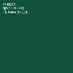 #11533A - Te Papa Green Color Image