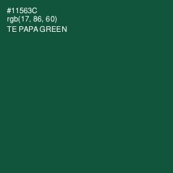 #11563C - Te Papa Green Color Image