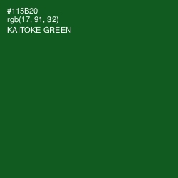 #115B20 - Kaitoke Green Color Image