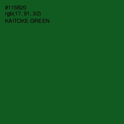 #115B20 - Kaitoke Green Color Image