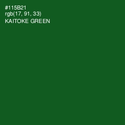 #115B21 - Kaitoke Green Color Image