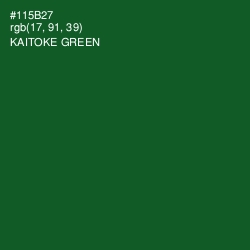 #115B27 - Kaitoke Green Color Image