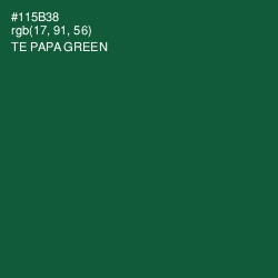 #115B38 - Te Papa Green Color Image