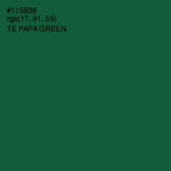 #115B38 - Te Papa Green Color Image