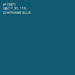 #115B71 - Chathams Blue Color Image