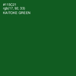 #115C21 - Kaitoke Green Color Image