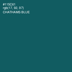 #115C61 - Chathams Blue Color Image