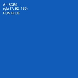 #115CB9 - Fun Blue Color Image