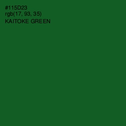 #115D23 - Kaitoke Green Color Image