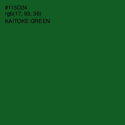 #115D24 - Kaitoke Green Color Image