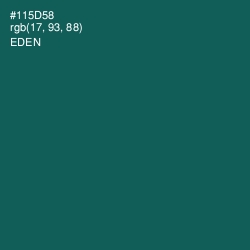 #115D58 - Eden Color Image