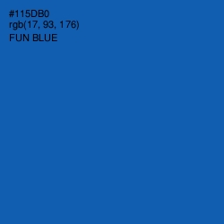 #115DB0 - Fun Blue Color Image