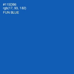 #115DB6 - Fun Blue Color Image