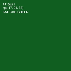 #115E21 - Kaitoke Green Color Image
