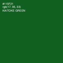 #115F21 - Kaitoke Green Color Image