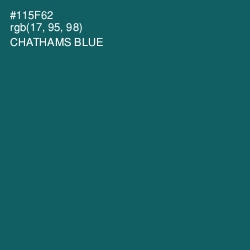 #115F62 - Chathams Blue Color Image