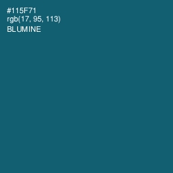 #115F71 - Blumine Color Image