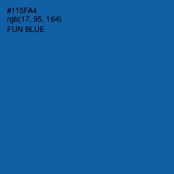 #115FA4 - Fun Blue Color Image