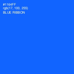 #1164FF - Blue Ribbon Color Image